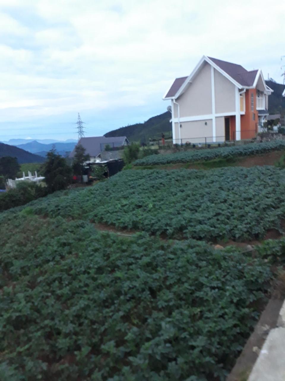 Hotel Rainyfreindz Nuwara Eliya Esterno foto